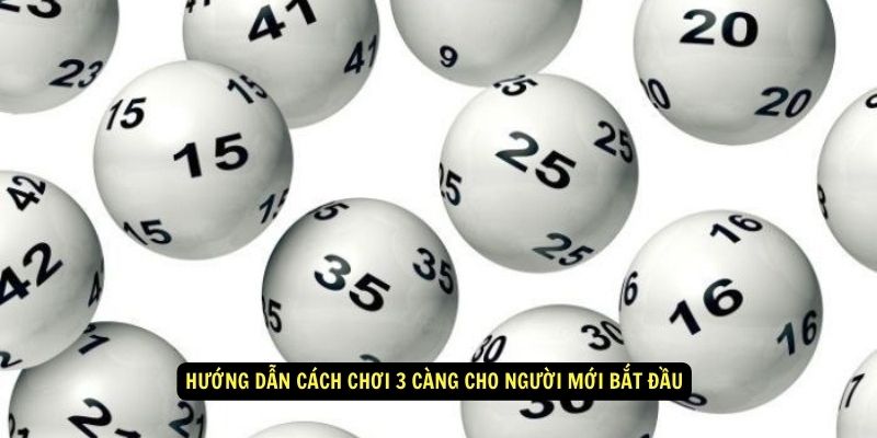 3 Càng Là Gì? Kinh Nghiệm Chọn Số Đẹp Cho Ngày Hôm Nay 6 Hướng dẫn cách chơi 3 càng cho người mới bắt đầu