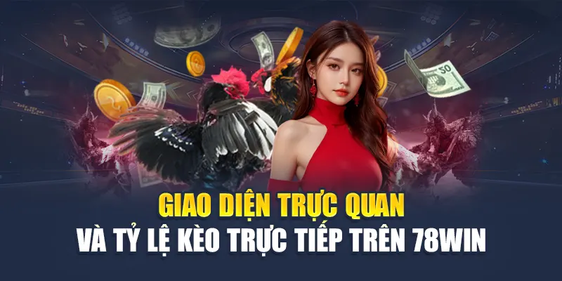 Trải Nghiệm Cược Đá Gà Live Kịch Tính Tại Nhà Cái 78WIN 5 Giao diện trực quan và tỷ lệ kèo trực tiếp trên 78WIN