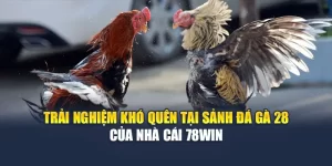 Trải Nghiệm Khó Quên Tại Sảnh Đá Gà 28 Của Nhà Cái 78WIN
