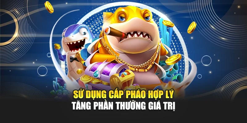 Sử dụng cấp pháo hợp lý tăng phần thưởng giá trị
